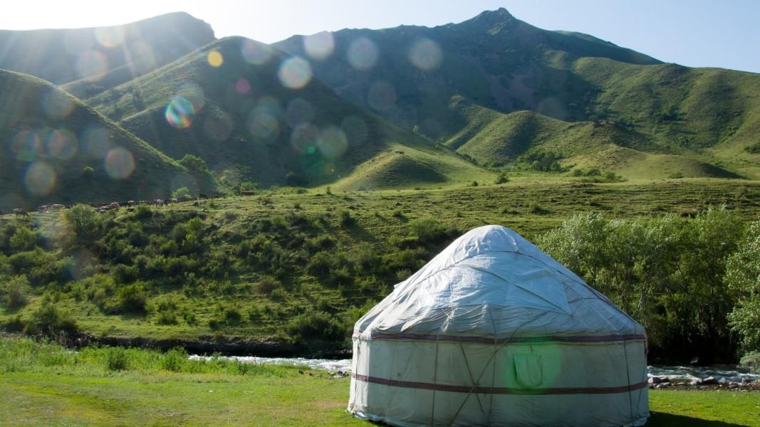 
                                                                                                                                                                                                                                                                                                                                                                                                                                                         wknd notes: Throwing the Bones
                                                                                                                                                                                                                                                                                                                                                                                                                                                                                                                                                                                                                                                                                                                                                                                                                                                                                                                                                                                                                                                                                                                                                                                                                                                                                                                                                                                                                                                                                                                                                                                                                                                                                                                                                                                                                                                                                                                                                                                                                                                                                                                                                                                                                                                                                                                                                                                                                                                                                                                                                                                                                                                                                                                                                                                                                                                                                                                                                                                                                                                                                                                                                                                                                                                                                                                                                                                                                                                                                                                                                                                                                                                                                                                                                                                                                                         