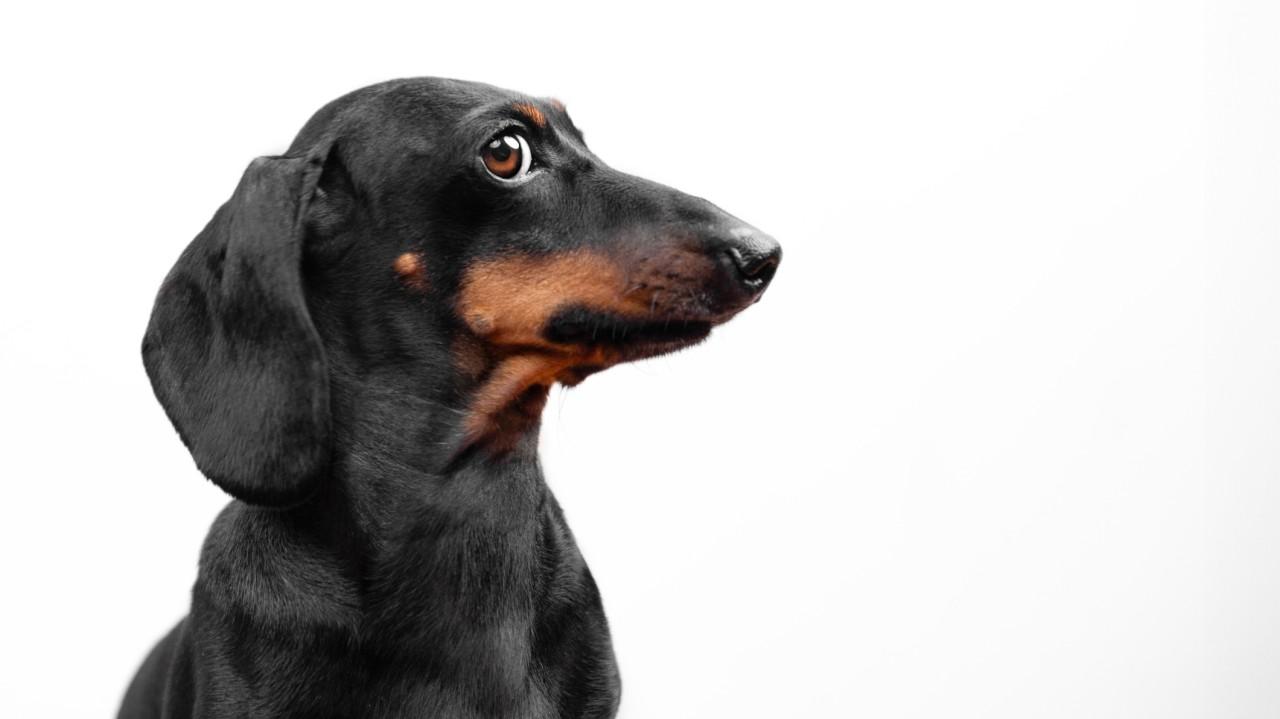 
                                                                                                                                                                                                                                                                                                                                                                                                      wknd notes: The Best Career Advice I Ever Got
                                                                                                                                                                                                                                                                                                                                                                                                                                                                                                                                                                                                                                                                                                                                                                                                                                                                                                                                                                                                                                                                                                                                                                                                                                                                                                                                                                                                                                                                                                                                                                                                                                                                                                                                                                                                                                                                                                                                                                                                                                                                                                                                                                                                                                                                                                                                                                                                                                                                                                                                                                                                                                                                                                                                                                                                                                                                                                                                                                                                                                                                                                                                                                                                                                                                                                                                                                                                                                                                                                                                                                                                                                                                                                                                                                                                                                                                                            