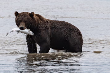 
                                                                                                                                                                                                                                                                                                                                                                                                                                                                                                                                                                                                                                                                                                                                                                                                                                                                                                                                                                                                                                                                                                                                                                                                                                                                                                                                                                                                                                                                                                                                                                                                                                                                                                                                                                                                                                                                                                                                                                                                                                                                                                                                                                                                                                                                                                                                                                                                                                                                                                                                                                                                                                                                                                                                                                                                                                                                                                                                                                                                                                                                                                                                                                                                                                                                                                                                                                                                                                                                                                                                                                                                                                                                                                                                                                                                                                                                                                                                                                                                                                                                                      Learning to Take a Profit
                                                                                                                                                                                                            