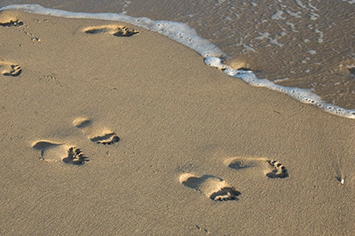 
                                                                                                                                                                                                                                                                                                                                                                                                                                                                                                                                                                                                                                                                                                                                                                                                                                                                                                                                                                                                                                                                                                                                                                                                                                                                                                                                                                                                                                                                                                                                                                                                                                                                                                                                                                                                                                                                                                                                                                                                                                                                                                                                                                                                                                                                                                                                                                                                                                                                                                                                                                                                                                                                                                                                                                                                                                                                                                                                                                                                                                                                                                                                                                                                                                                                                                                                                                                                                                                                                                                                                                                                                                                                                                                                                                    Time To Retire Transitory
                                                                                                                                                                                                                                                                                                                                                                                                                                                                                                                              