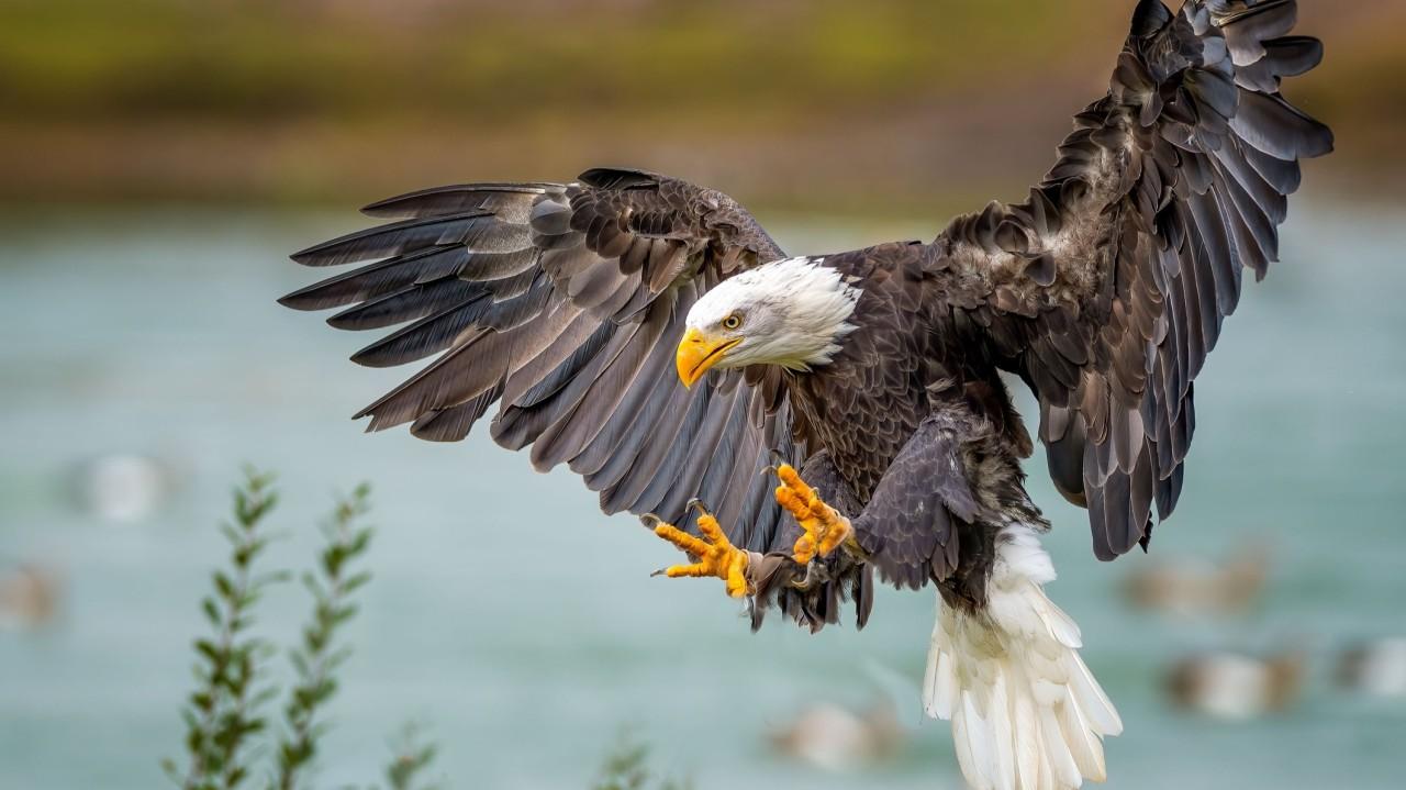 
                                                                                                                                                                                                                                                                                                                                                                                                                                                         wknd notes: Never Underestimate America
                                                                                                                                                                                                                                                                                                                                                                                                                                                                                                                                                                                                                                                                                                                                                                                                                                                                                                                                                                                                                                                                                                                                                                                                                                                                                                                                                                                                                                                                                                                                                                                                                                                                                                                                                                                                                                                                                                                                                                                                                                                                                                                                                                                                                                                                                                                                                                                                                                                                                                                                                                                                                                                                                                                                                                                                                                                                                                                                                                                                                                                                                                                                                                                                     