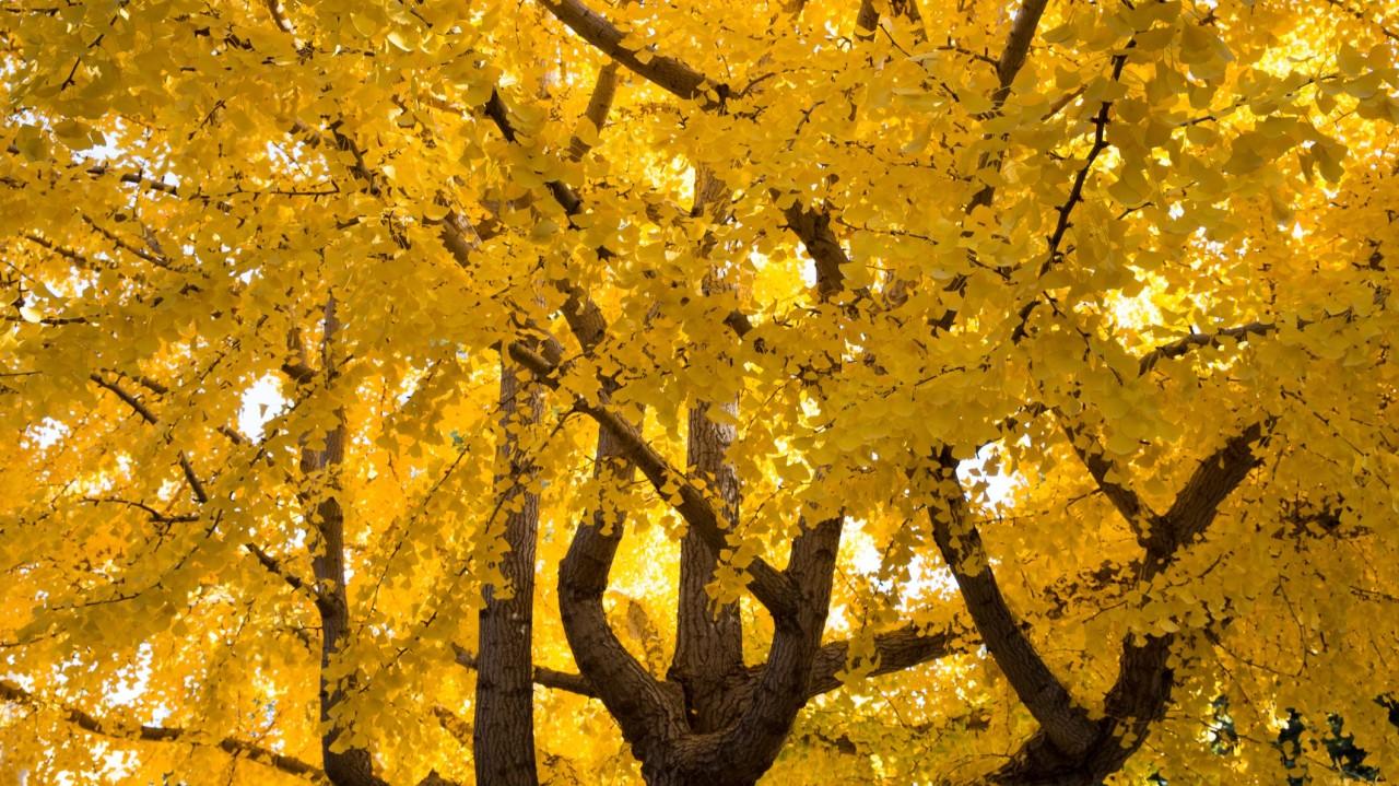 
                                                                                                                                                                                                                                                                                                                                                                                                                                                                                                                                                                                                                                                                                                                                                                                                                                                                                                                                                                                                                                                                                                                               wknd notes: Waiting for the Election
                                                                                                                                                                                                                                                                                                                                                                                                                                                                                                                                                                                                                                                                                                                                                                                                                                                                                                                                                                                                                                                                                                                                                                                                                                                                                                                                                                                                                                                                                                                                                                                                                                                                                                                                                                                                                                                                                                                                                                                                                                                                                                                                                                                                                                                                                                                                                                                                                                                                                                                                                                                                                                                                                                                                                                                                                                                                                                                                                                                                                                                                                                                                                                   