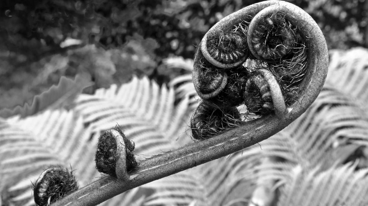 wknd notes: How The AI Theme Unfolds