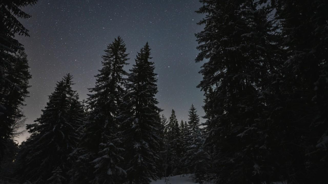 
                                                                                                                                                                                                                                                                                                                                                                                                                                                                                                                                                                                                                                                                                                                                                                                                                                                                                                                                                                                                                                                                                                                                                                                                                                                                                        wknd notes: the sound of silence
                                                                                                                                                                                                                                                                                                                                                                                                                                                                                                                                                                                                                                                                                                                                                                                                                                                                                                                                                                                                                                                                                                                                                                                                                                                                                                                                                                                                                                                                                                                                                                                                                                                                                                                                                                                                                                                                                                                                                                                                                                                                                                                                                                                                                                                                                                                                                                                                                                                                                                                                                                                                                                                                                                                                                                                                                                                                                                                                                                                                          